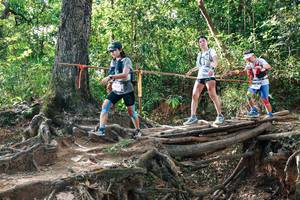 BIB: 
                            <button type="button" onclick="openModal(27557326)" class="btn btn-primary btn-sm float-right btn-popup" data-toggle="modal" data-target=".modal-high-quality">
                        <i class="fas fa-shopping-cart"></i> Add to Cart
                    </button>
                                            <button type="button" onclick="isThisMe(27557326, true)" class="btn btn-success btn-sm float-right btn-popup btn-isme hidden" data-toggle="tooltip" data-placement="bottom" title="นี่คือรูปของคุณใช่ไหม คลิกที่นี่เพื่อเอาเข้าอัลบั้ม">
                        <i class="fas fa-plus"></i> Add to album
                    </button>
                    <button type="button" onclick="isThisMe(27557326, false)" class="btn btn-warning btn-sm float-right btn-popup btn-isnotme hidden">
                        <i class="fas fa-ban"></i> Remove from album
                    </button>